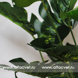 искусственные цветы антуриум цвета темно-зеленый 29