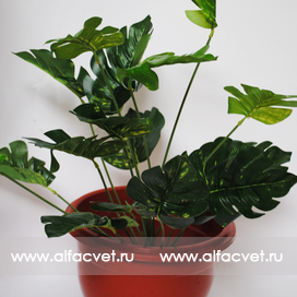 искусственные цветы антуриум цвета темно-зеленый 29