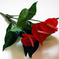 искусственные цветы антуриум цвета красный 4