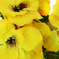 искусственные цветы анютины глазки цвета желтый 1