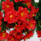искусственные цветы азалия цвета красный 4