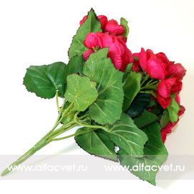 искусственные цветы бегонии цвета малиновый 11