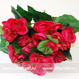 искусственные цветы бегонии цвета малиновый 11