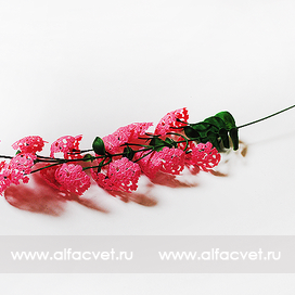 искусственные цветы ветка белоспина цвета розовый 5