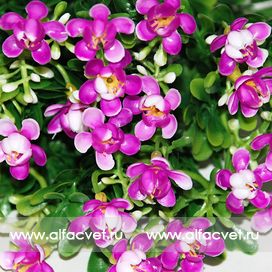 искусственные цветы букет пластик цвета сиреневый 8