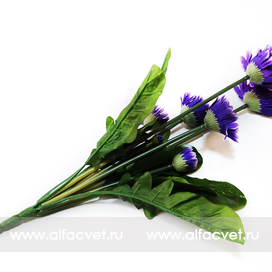 искусственные цветы герберы цвета синий 12