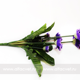 искусственные цветы герберы цвета синий 12