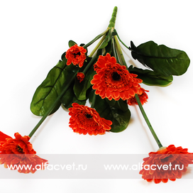 искусственные цветы герберы цвета оранжевый 2