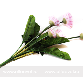 искусственные цветы герберы цвета светло-розовый 9