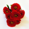 искусственные цветы букет гербер цвета красный 4