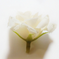 искусственные цветы головка роз диаметр 5 цвета белый 6