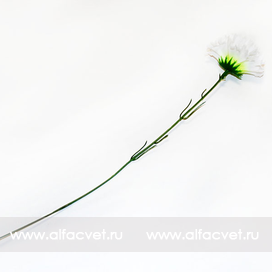 искусственные цветы гвоздикa цвета белый 6