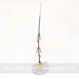 искусственные цветы гвоздикa цвета белый 6