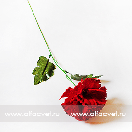 искусственные цветы гвоздика бархатная цвета красный 4
