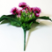 искусственные цветы гвоздики цвета фиолетовый 7