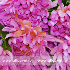 искусственные цветы хризантемы цвета фиолетовый 7