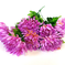 искусственные цветы хризантемы цвета фиолетовый 7