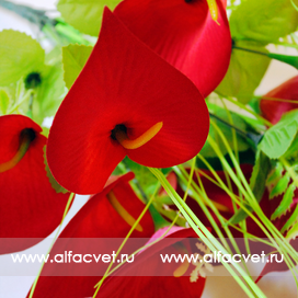 искусственные цветы букет каллы цвета красный 4