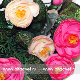 искусственные цветы камелия цвета кремовый с розовым 56