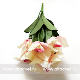 искусственные цветы орхидеи цвета чайный 3