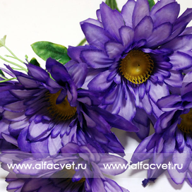 искусственные цветы ромашка цвета синий 12