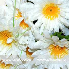 искусственные цветы ромашки с папоротником цвета белый 6