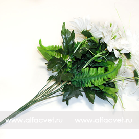 искусственные цветы ромашки с папоротником цвета белый 6