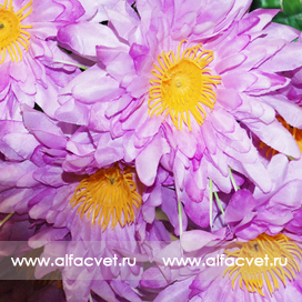 искусственные цветы ромашки с папоротником цвета сиреневый 8