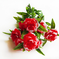 искусственные цветы букет роз пластик цвета красный 4