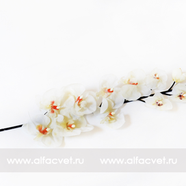 искусственные цветы ветка орхидей цвета белый 6