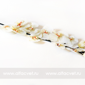 искусственные цветы ветка орхидей цвета белый 6